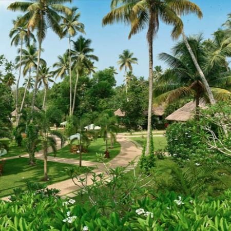 Luxury Travel Selection - Carnoustie Ayurveda & Wellness Resort